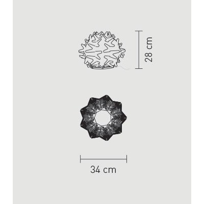 CACTUS TAVOLO SMALL DIMENSIONI